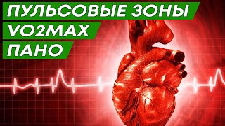 Пульсовые зоны. Аэроб и анаэроб. Пано. МПК (VO2 MAX)