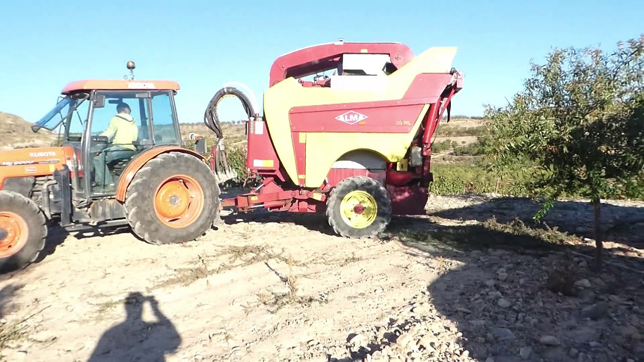 Vendimia en Bergasa  con Vendimiadora Arrastrada