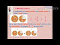 FRACTIONS PART  3 GRADE 4