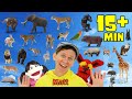 African Wild Animals Parts 1-3 | What Do You See? Song | Pop Sticks Songs