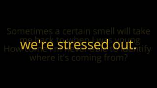 Stressed out - Twenty One Pilots Lyrics [SPEED UP]