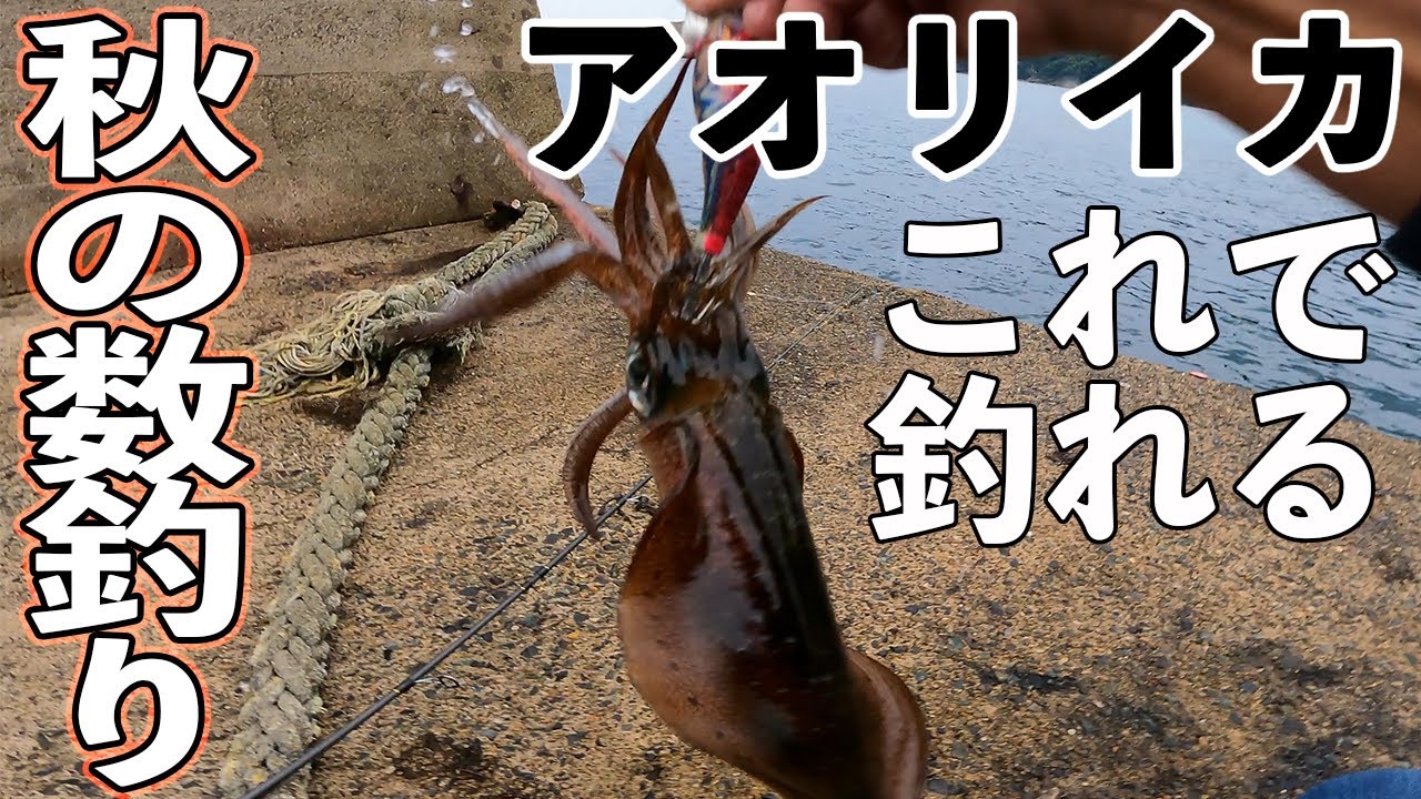 秋エギング 初心者でもアオリイカを連発するしゃくり方 楽しい数釣りシーズン到来で雨でも秋の釣りを楽しむ Youtube 秋エギング 初心者でもアオリイカを連発するしゃくり方 楽しい数釣りシーズン到来で雨でも秋の釣りを楽しむ Youtube