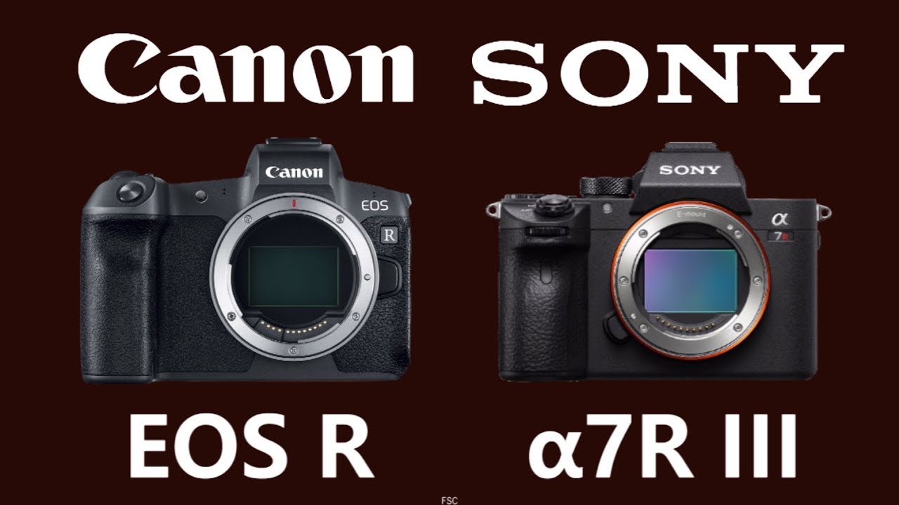 Sony canon сравнение. Canon vs Sony. Canon EOS R vs Sony a7 3.