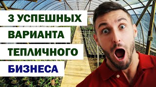 3 успешных варианта для старта тепличного бизнеса.