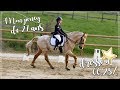 Concours Commenté - MON PONEY DE 27 ANS SORT EN 66,25% ⭐