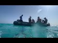 Marsa Alam-Red Sea-Desert ATV- underwater-Sataya reef- Abudhabab bay埃及紅海-馬薩阿拉姆-海低世界-薩塔亞礁-阿布扎巴灣-沙漠四驅車