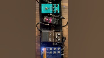 Octave pedal comparison - Mr Black Octaves vs Boss OC-2