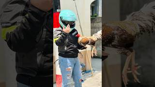 Sabungera Na Rider Pa