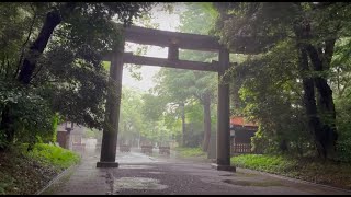 Walking in the Rain in Tokyo: Yoyogi Park &amp; Meiji Jingu - Rain Walk, Heavy Rain, White Noise, ASMR