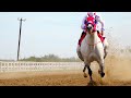 Rancho Seco NG vs C.La Estrella/ C. Cerralvo vs Castilla