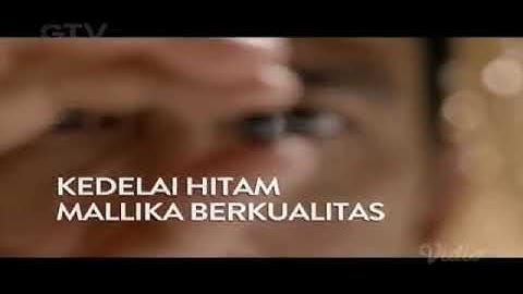 32) Kecap Bango - Kedelai Hitam Malika Berkualitas (2020/2020)