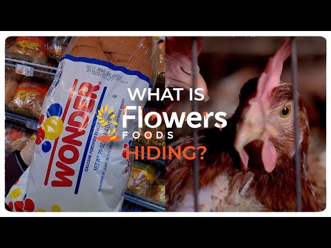 Flowers Foods: How will you fulfill your cage-free promise?