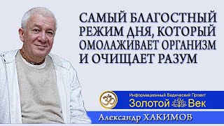 Самый Благостный режим дня, который омолаживает организм и очищает разум