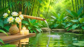 😴 Can't Sleep? Fall Asleep Fast with Nature Sounds
