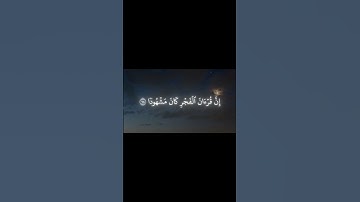 سورة الإسراء #ياسر_الدوسري #محمد_اللحيدان #عبدالرحمن_مسعد #قران_كريم #قرآن #quran #اجر_لي_ولك #fyp