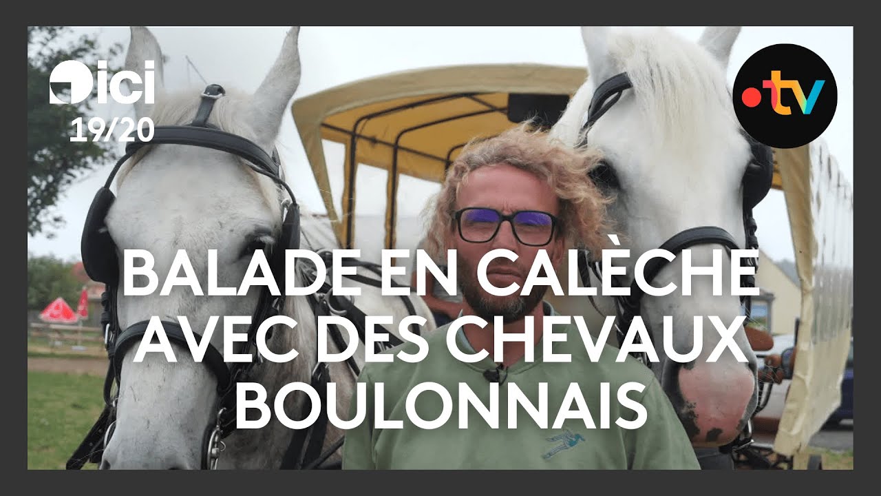 Calèche marathon loisir 4 places pour cheval de trait