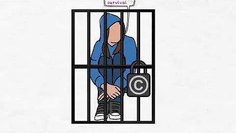 Understanding gendered pathways to the Criminal Justice System; In their own words