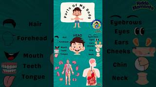 Learn Body Parts for Kids | Fun & Easy Human Anatomy Lesson | Body Parts Names for Toddlers