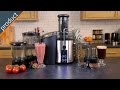 Savisto 4-in-1 800W Power Juicer, Blender, Grinder & Food Chopper