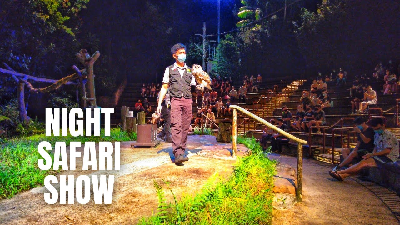 night safari show time