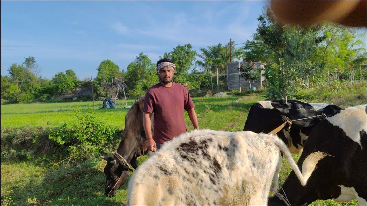 A day in my village life in #SKvlogs Kannada 