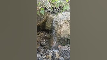 #خالد_الجليل #quran #تلاوات #قران_كريم #تلاوة_خاشعة #راحة_نفسية