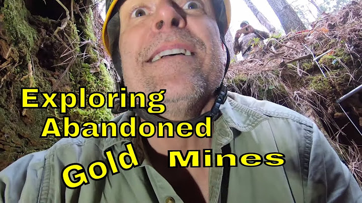 Searching For Abandoned Gold Mines