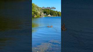 Mountain lake in USA Cute ducks on the water ВОТ ТАК ЖИВУТ ЛЮДИ В США 🇺🇸 ЗА УКРАИНУ #schorts #сша