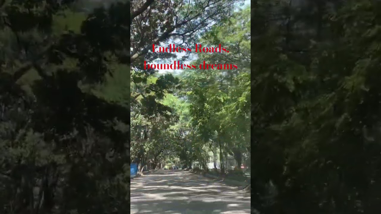 Endless Roads, boundless dreams 💜