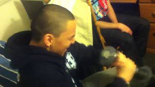 Steve Wang Shake Weight Work out