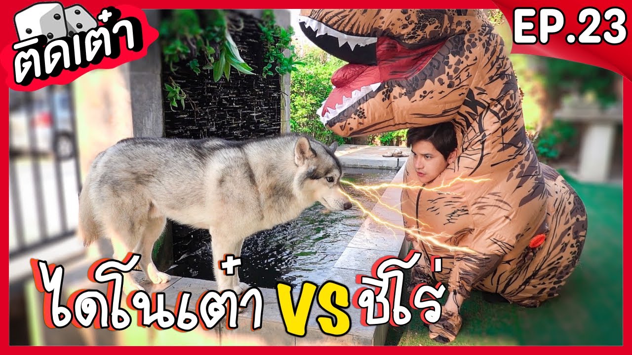 ติดเต๋า EP.23 | ไดโนเต๋า VS ชิโร่ งานนี้ใครจะชนะ!! Dog VS Dinosaur