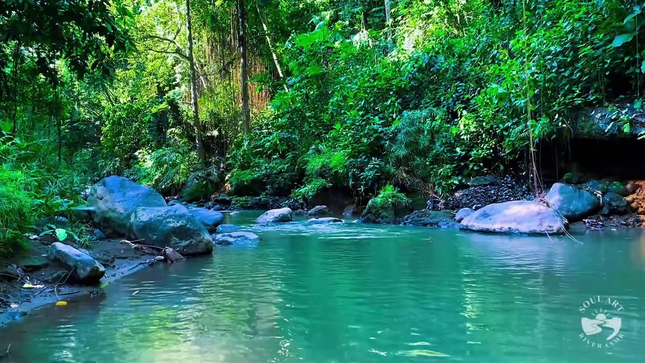 Calming River Water Sounds | Soft Flowing Stream for Peaceful Sleep