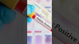 How Plasmodium Spreads in Your Body🦟🩸🧬🤒|#shorts #facts #shortsvideo #short #shortsfeed