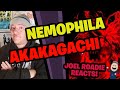 NEMOPHILA / 赤加賀智-AKAKAGACHI- Roadie Reacts