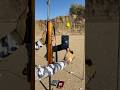 SHOOTING A PHONE WITH A MINI 14: THE RESULTS ARE SHOCKING!* 📱😱 #trending #gaming #feed #ak47shorts