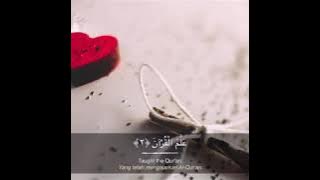 Tareq Rukhiyat beautiful recitation surah ar-rahman 😍