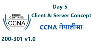 Day 5 | Client & Server concept | Complete CCNA 200 301 in Nepali screenshot 3