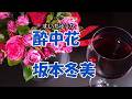 坂本冬美 ♪酔中花(すいちゅうか)
