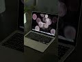 Trading setup wallpaper pack (bokeh) #trading #forex #macbook