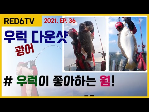 우럭(<strong>광어</strong>)<strong>다운샷</strong> - 우럭과 광어를 동시에! (우럭이 좋아하는 <strong>웜</strong>!?)