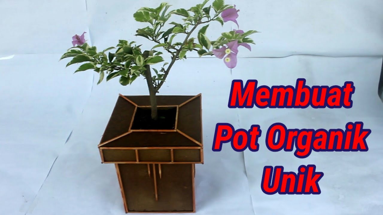 Inspirasi Cara Membuat Pot Organik Unik dalam Permakultur How to Make