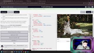 freeCodeCamp Responsive Web Design Section 3 & 4 Certification Projects