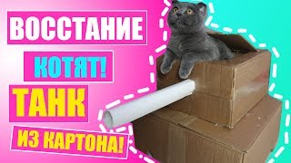 ТАНК ИЗ КАРТОНА ДЛЯ КОТЕНКА - ВОССТАНИЕ КОТЯТ ТАНК ИЗ КАРТОНА ДЛЯ КОТЕНКА - ВОССТАНИЕ КОТЯТ