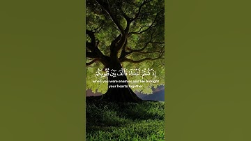 سعد الغامدي - سورة آل عمران - اية ١٠٣ #قرآن #سورة_آل_عمران #سعد_الغامدي