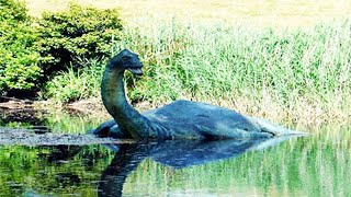 Чёрт В Озере Лыбынкыр. Оно Скрывается В Якутском Озере.