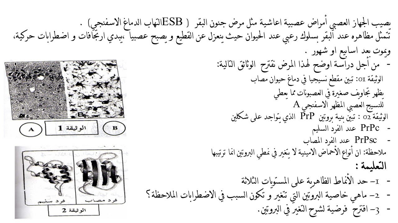 تمارين حول النمط الظاهري والنمط الوراثي للسنة الثانية ثانوي