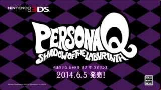 Video thumbnail of "Persona Q: Shadow of the Labyrinth OST - Maze of Life"
