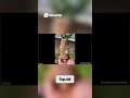 Chipmunk Reacts to Viral Fame  6000+ Followers!