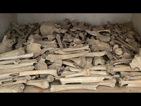 მეუფე ნიკოლოზი - 107. 6000 გარეჯელი მოწამე