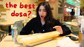 Download Lagu i ate the best dosa in New York City MP3